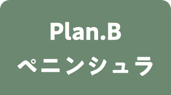プランB ペニンシュラキッチン 選択中