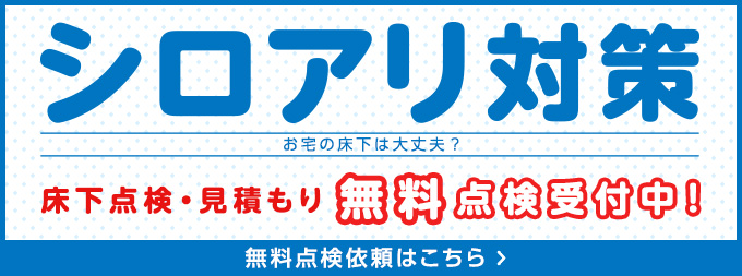 シロアリ対策 お宅の床下は大丈夫？床下点検・見積もり無料受付中！